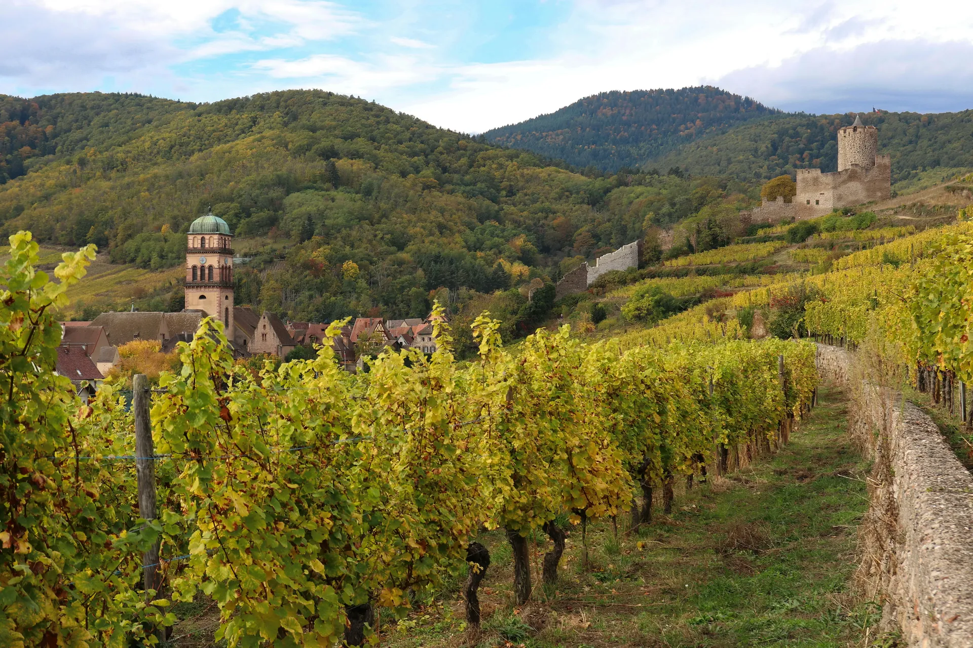 Coteau de vignes en automne, avec un clocher et les ruines d'un château sur la colline