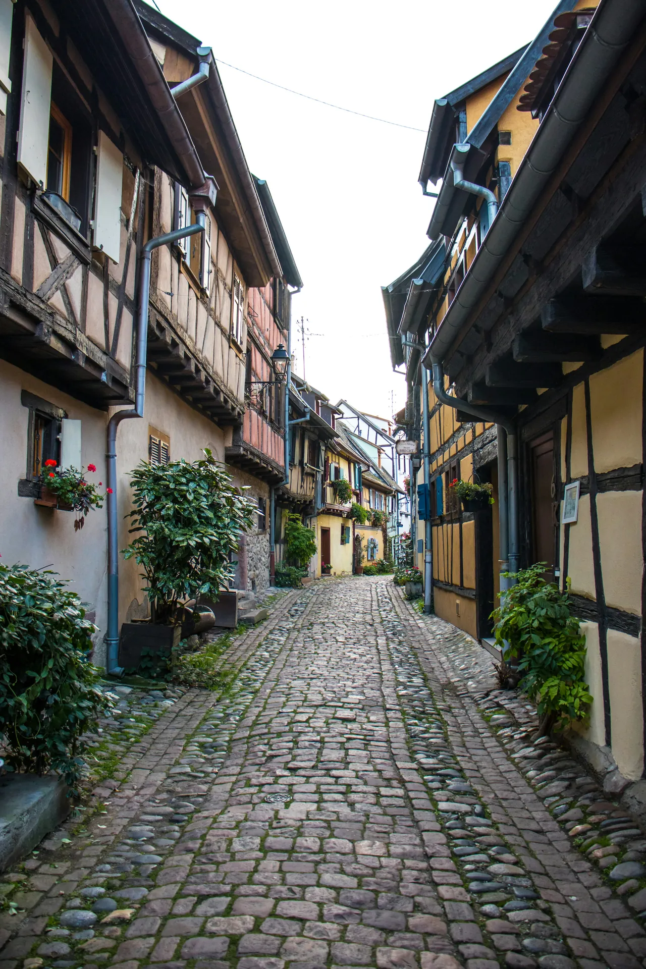 Rue pavée bordée de maisons à colombages fleuries