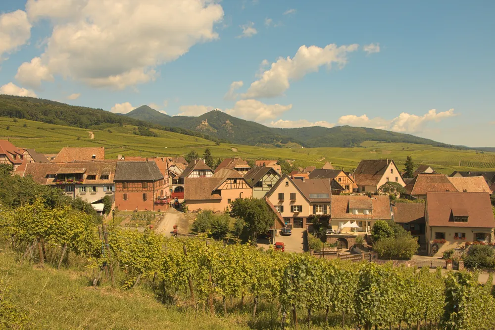 Village alsacien aux toits de tuiles, au pied des vignes et des Vosges